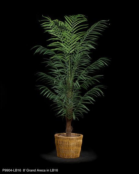 Grand Areca Flowers